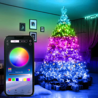 SMART CHRISTMAS LIGHTS (33 FT)